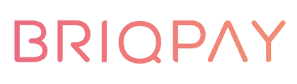 Briqpay